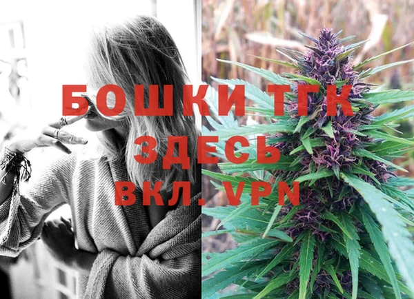 бошки Аркадак