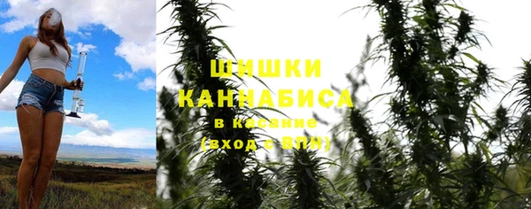 бошки Аркадак